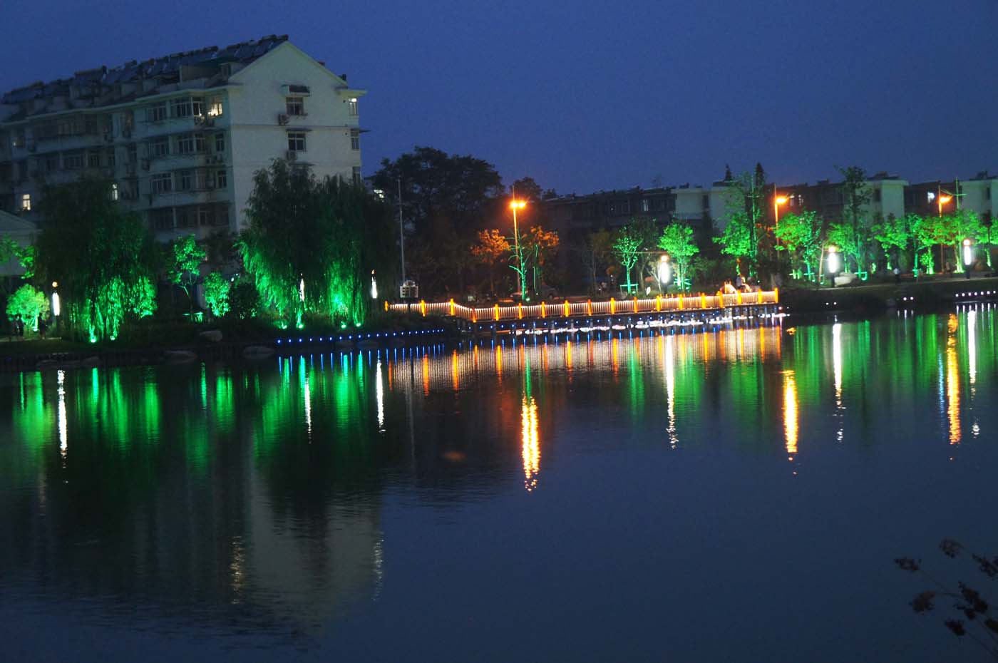 DSC01135.JPG