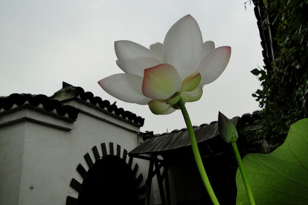 DSC03590.JPG