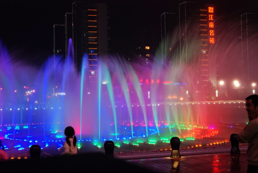 DSC_8451_conew1.JPG