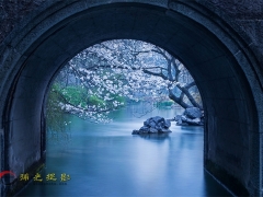 ̫糿